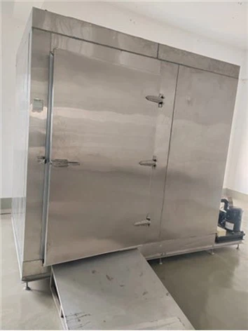 Negative Cold Storage Room