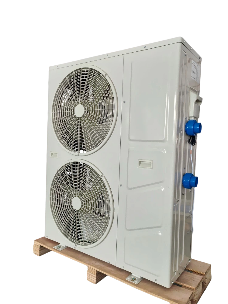 202506051138451 202506051138451